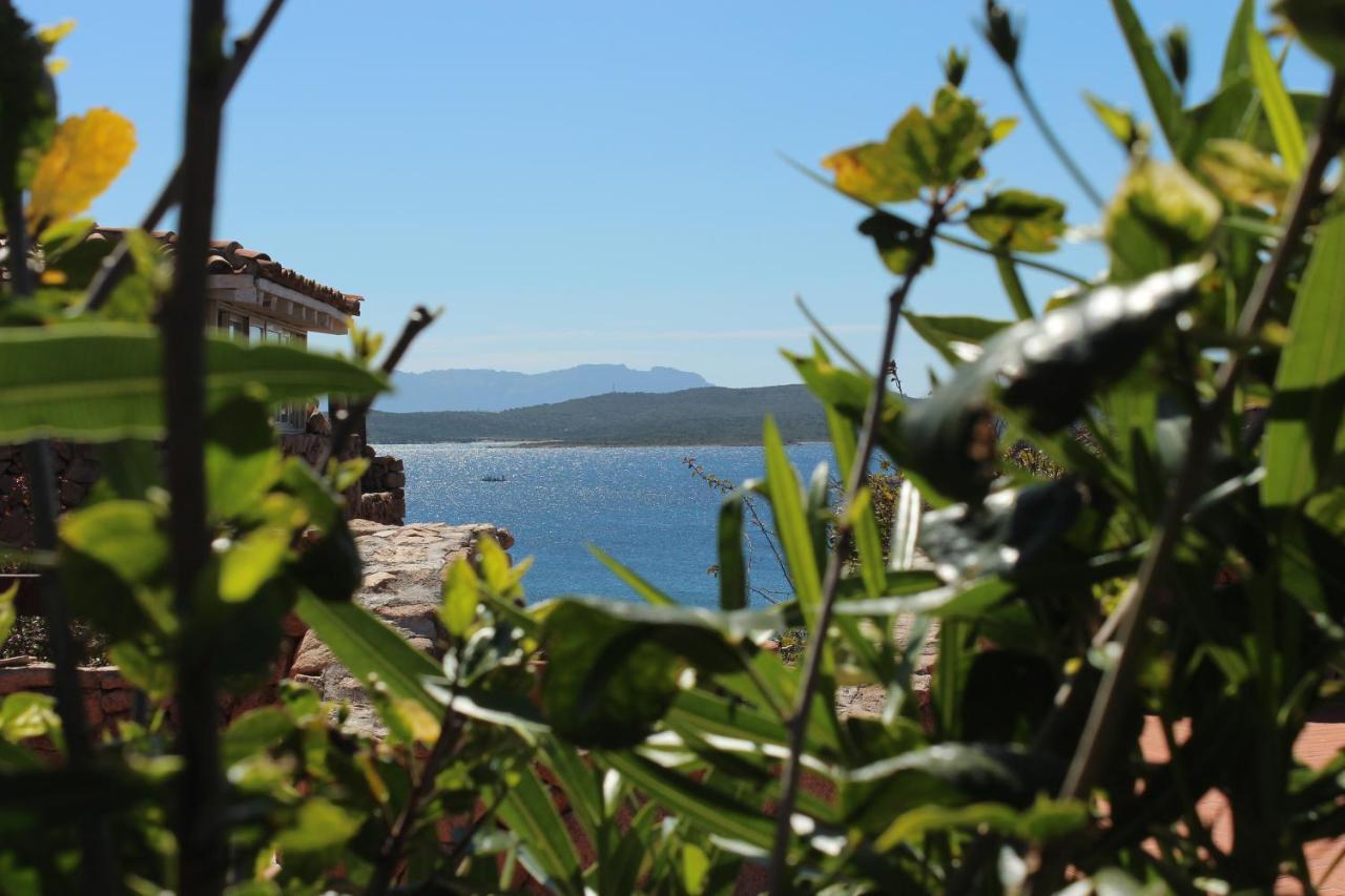 Appartamento a Porto Rotondo - VILLAGGIO PUNTA VOLPE Esterno foto