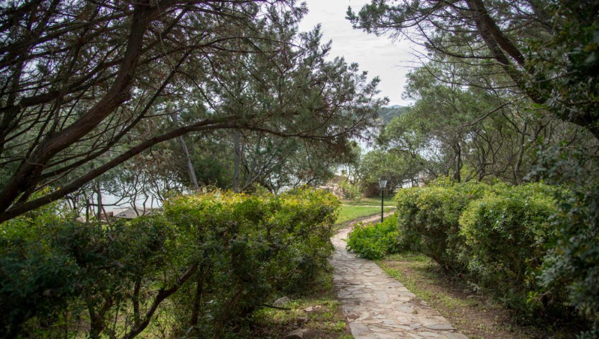 Appartamento a Porto Rotondo - VILLAGGIO PUNTA VOLPE Esterno foto