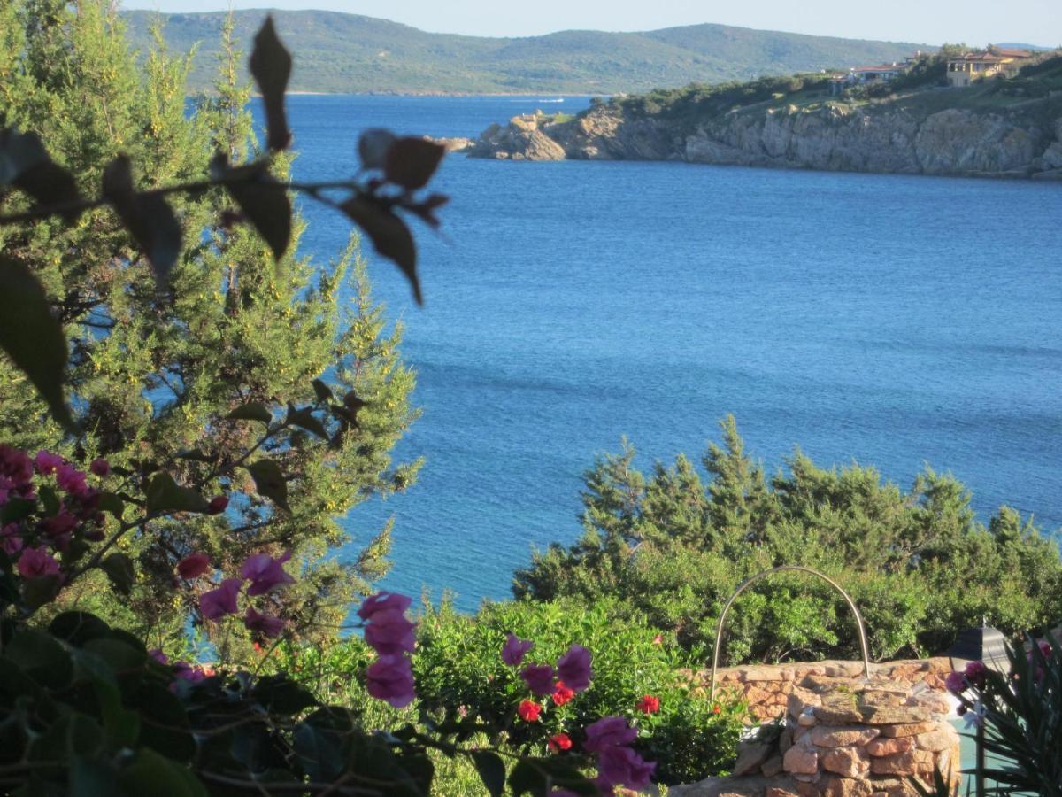 Appartamento a Porto Rotondo - VILLAGGIO PUNTA VOLPE Esterno foto