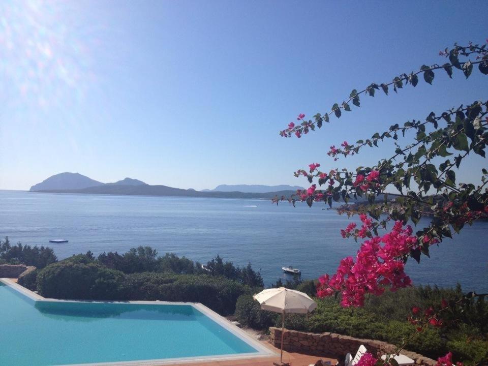 Appartamento a Porto Rotondo - VILLAGGIO PUNTA VOLPE Esterno foto